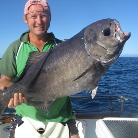 Doubtless Bay Charters - Fishing Charter Northland - Deep water trips, Deep sea trips