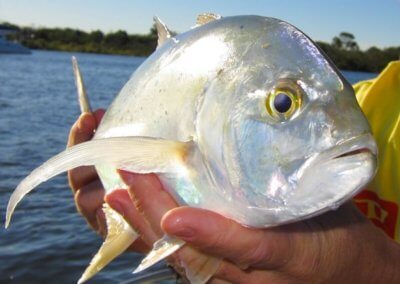 Doubtless Bay Charters - Fishing Charter Northland - trevally fishing charter northland